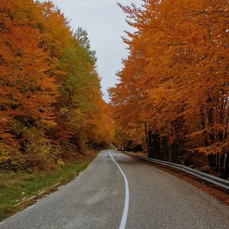 Casa Di Via Roma Vakantiehuis