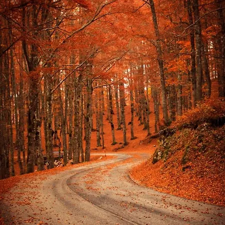 Vakantiehuis Casa Di Via Roma Opi