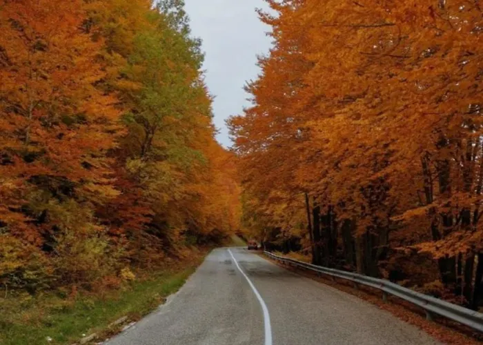 Casa Di Via Roma Дом отдыха